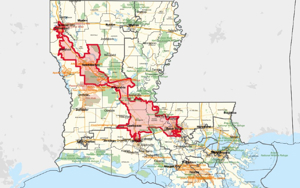 Dem leader says 'affirmative action' lost in Louisiana; high court agrees