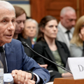COVID response faces fresh scrutiny after Fauci diary release