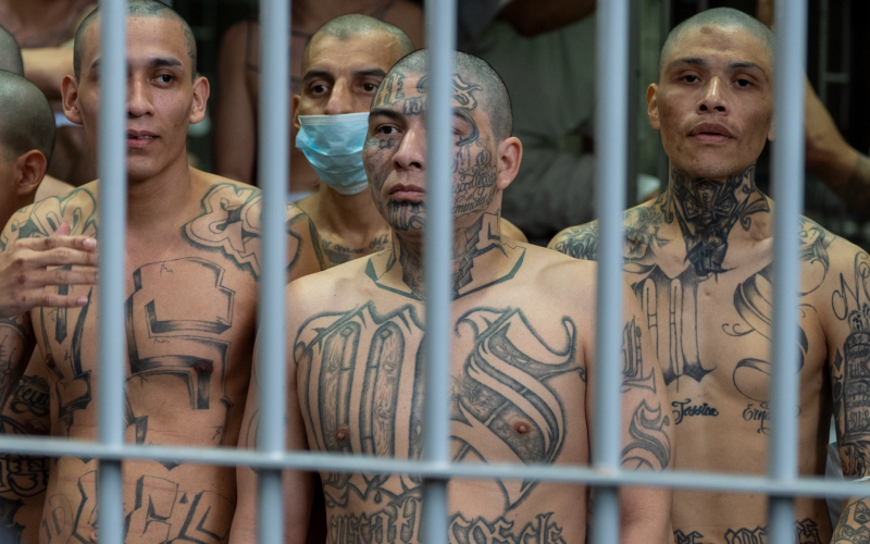 Arrest of MS-13 leader by Trump highlights criminal neglect of Biden