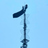 Empire State Building climbers facing felony charges