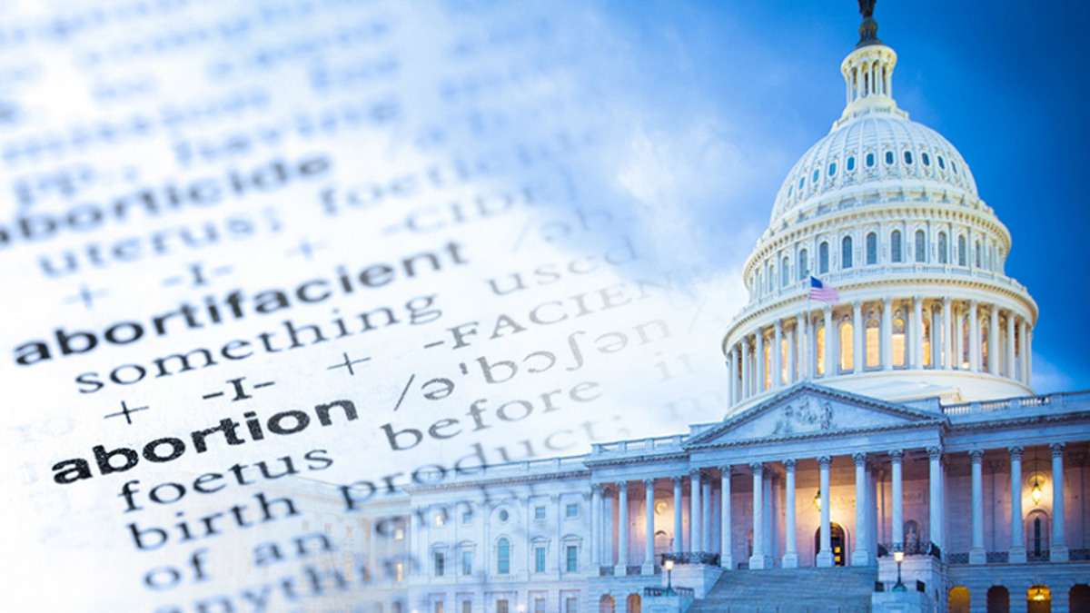 Pro-lifers in the House can make a difference - Vimarsana News